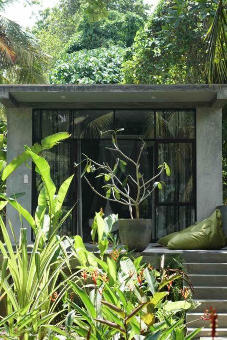 Hotel Dreamtime Hikkaduwa Esterno foto