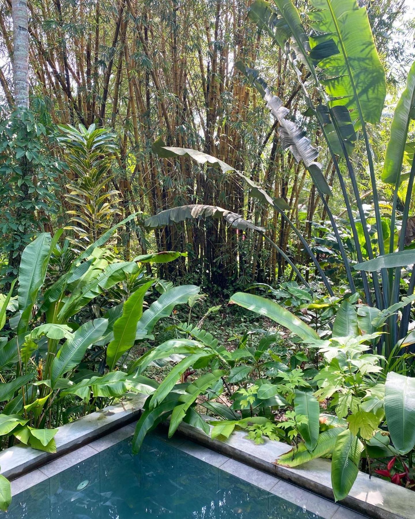 Hotel Dreamtime Hikkaduwa Esterno foto