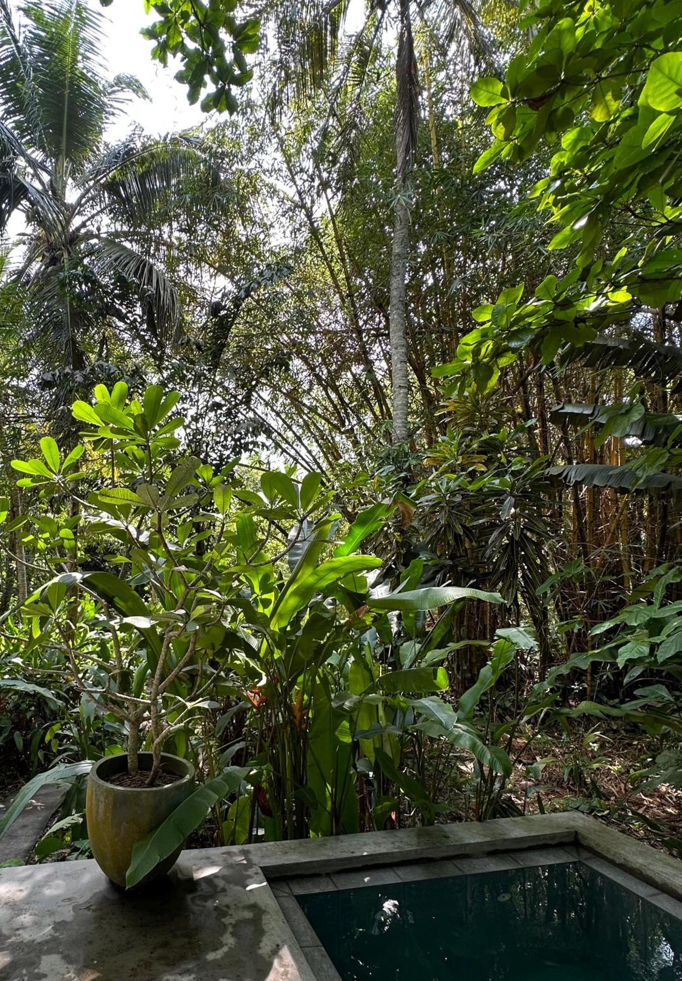 Hotel Dreamtime Hikkaduwa Esterno foto