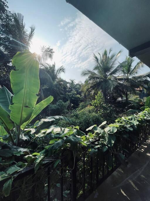 Hotel Dreamtime Hikkaduwa Esterno foto